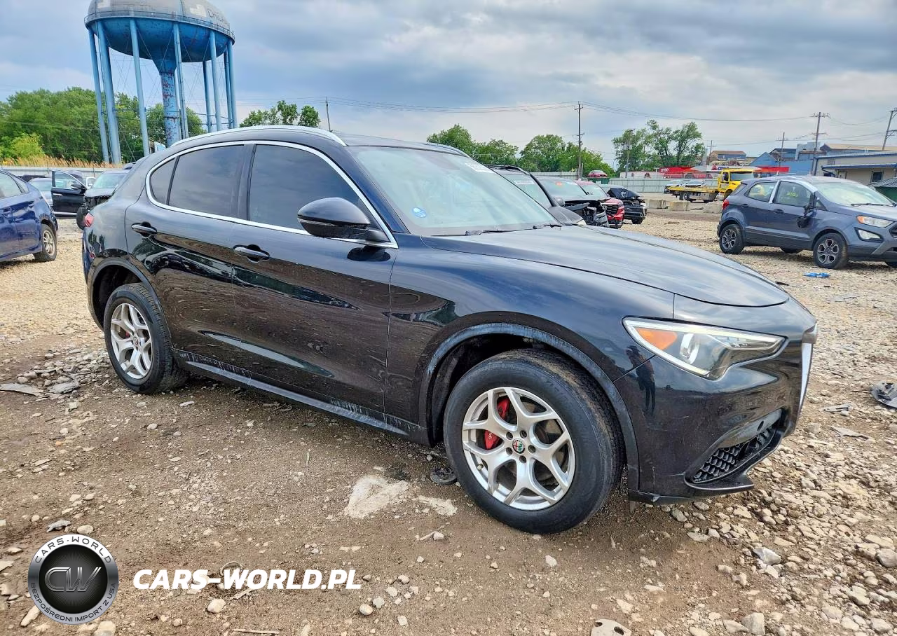 2019 Alfa Romeo Stelvio VIN:ZASPAKAN0K7C32245 - 4