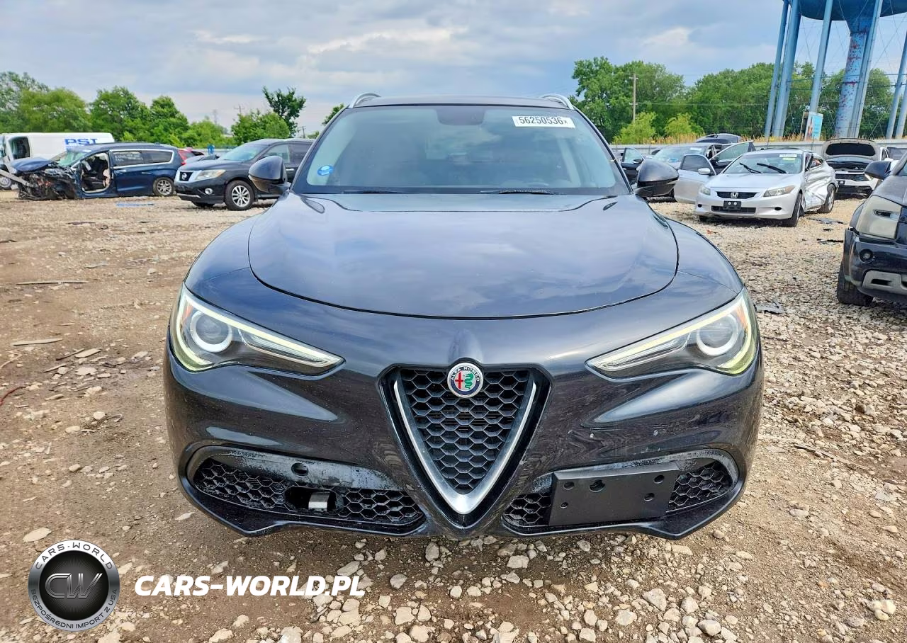 2019 Alfa Romeo Stelvio VIN:ZASPAKAN0K7C32245 - 5