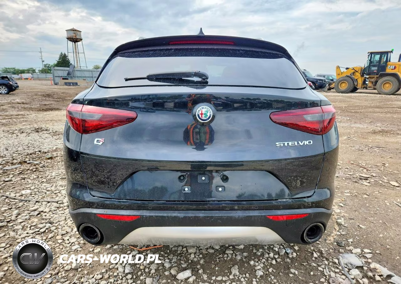 2019 Alfa Romeo Stelvio VIN:ZASPAKAN0K7C32245 - 6