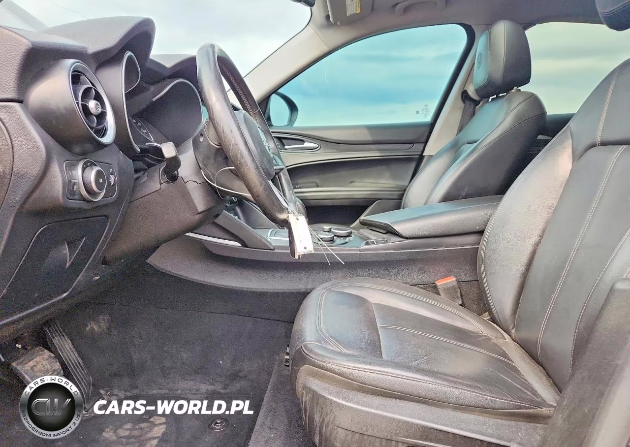 2019 Alfa Romeo Stelvio VIN:ZASPAKAN0K7C32245 - 7