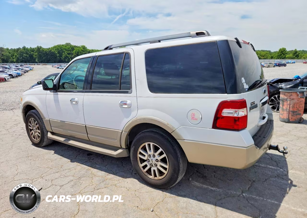 2010 Ford Expedition Eddie Bauer VIN:1FMJU1H51AEA48024 - 2