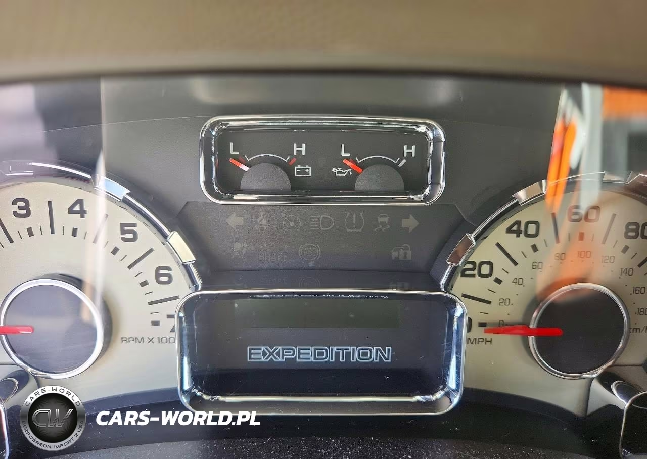 2010 Ford Expedition Eddie Bauer VIN:1FMJU1H51AEA48024 - 9