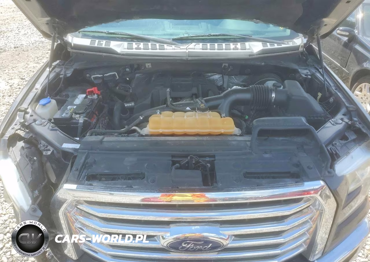 2015 Ford F-150 VIN:1FTEW1CP4FKF03353 - 11