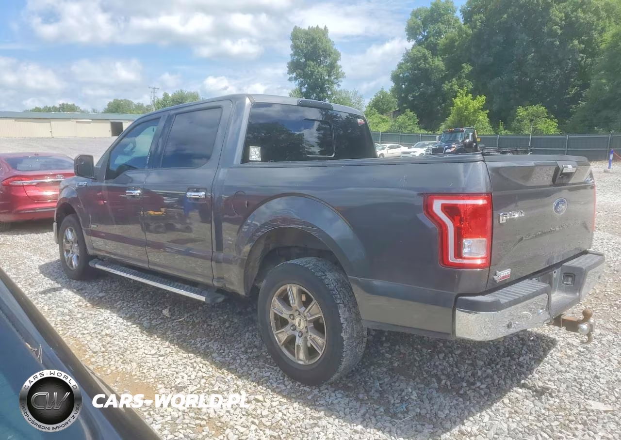 2015 Ford F-150 VIN:1FTEW1CP4FKF03353 - 2