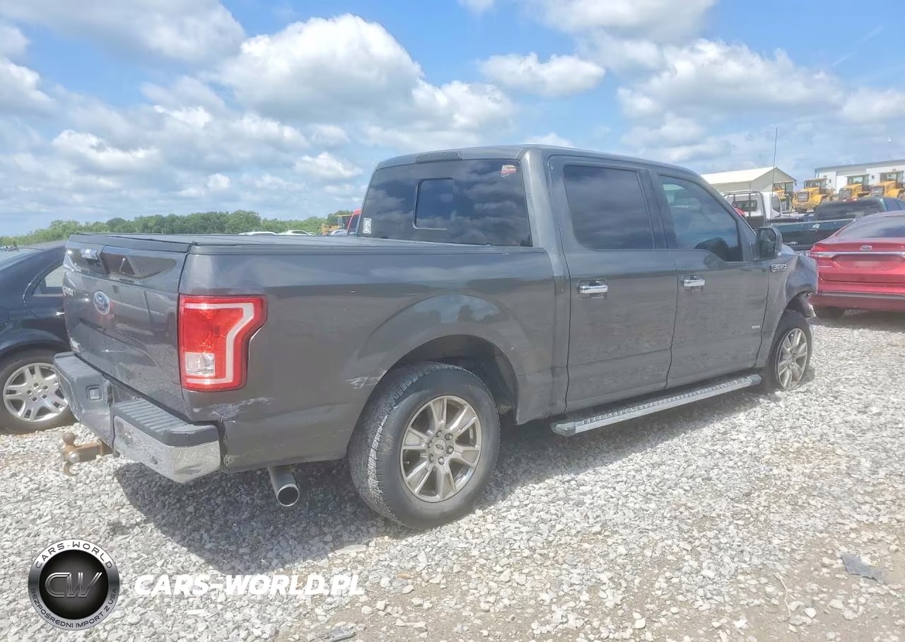 2015 Ford F-150 VIN:1FTEW1CP4FKF03353 - 3