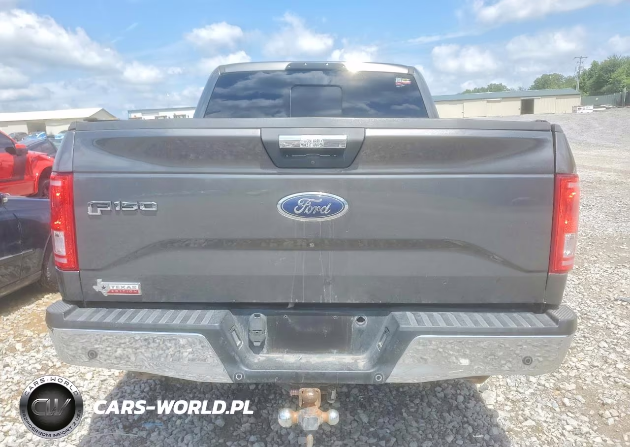 2015 Ford F-150 VIN:1FTEW1CP4FKF03353 - 6