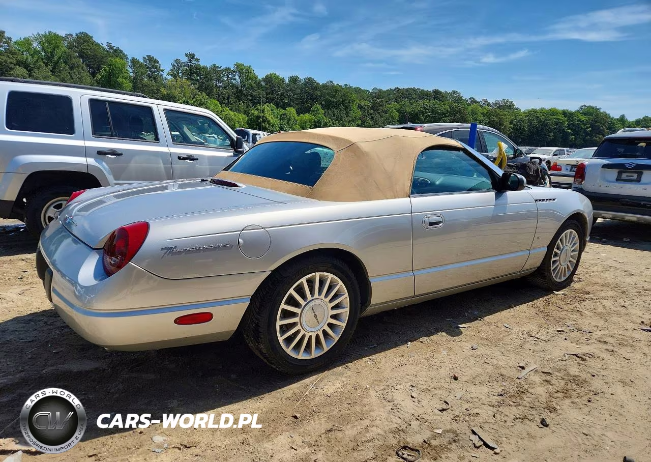 2004 Ford Thunderbird VIN:1FAHP60A34Y103016 - 3