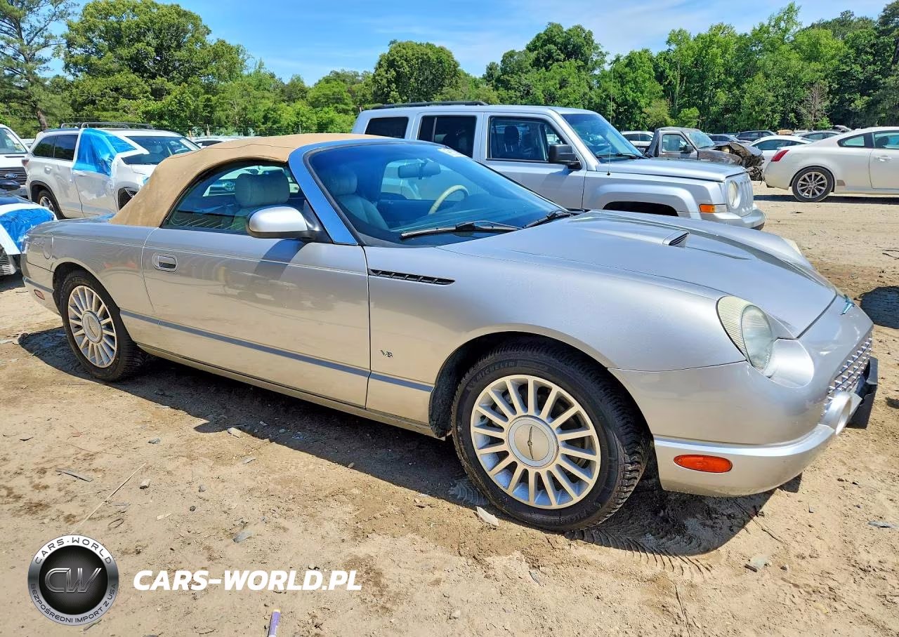 2004 Ford Thunderbird VIN:1FAHP60A34Y103016 - 4