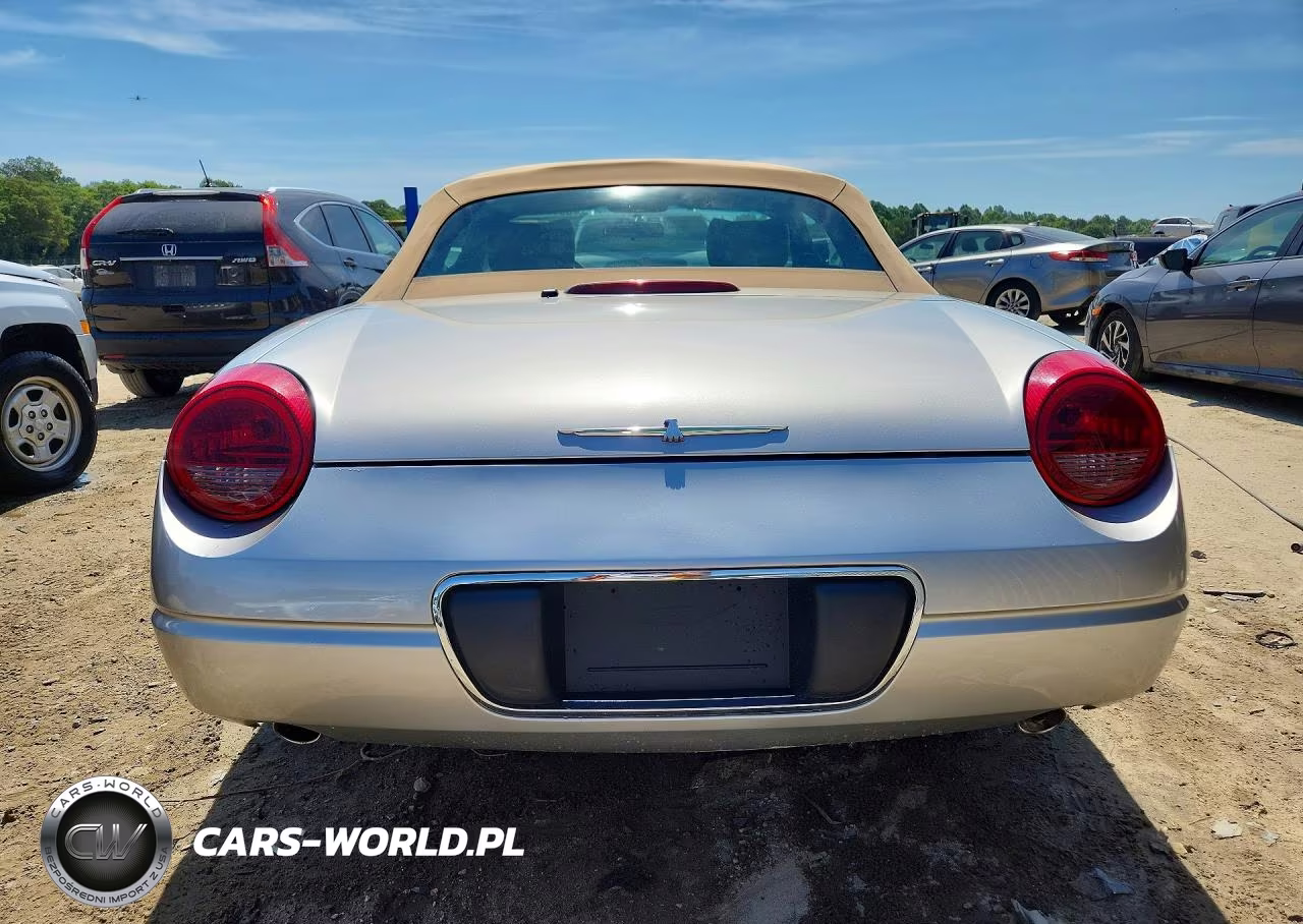 2004 Ford Thunderbird VIN:1FAHP60A34Y103016 - 6