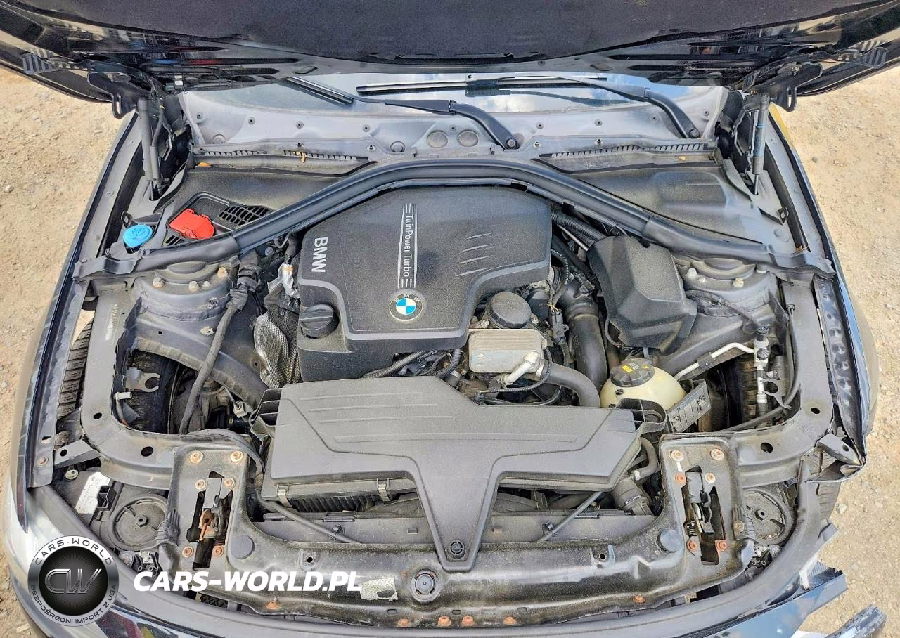 2016 BMW 320 Xi VIN:WBA8E5G54GNU21359 - 11