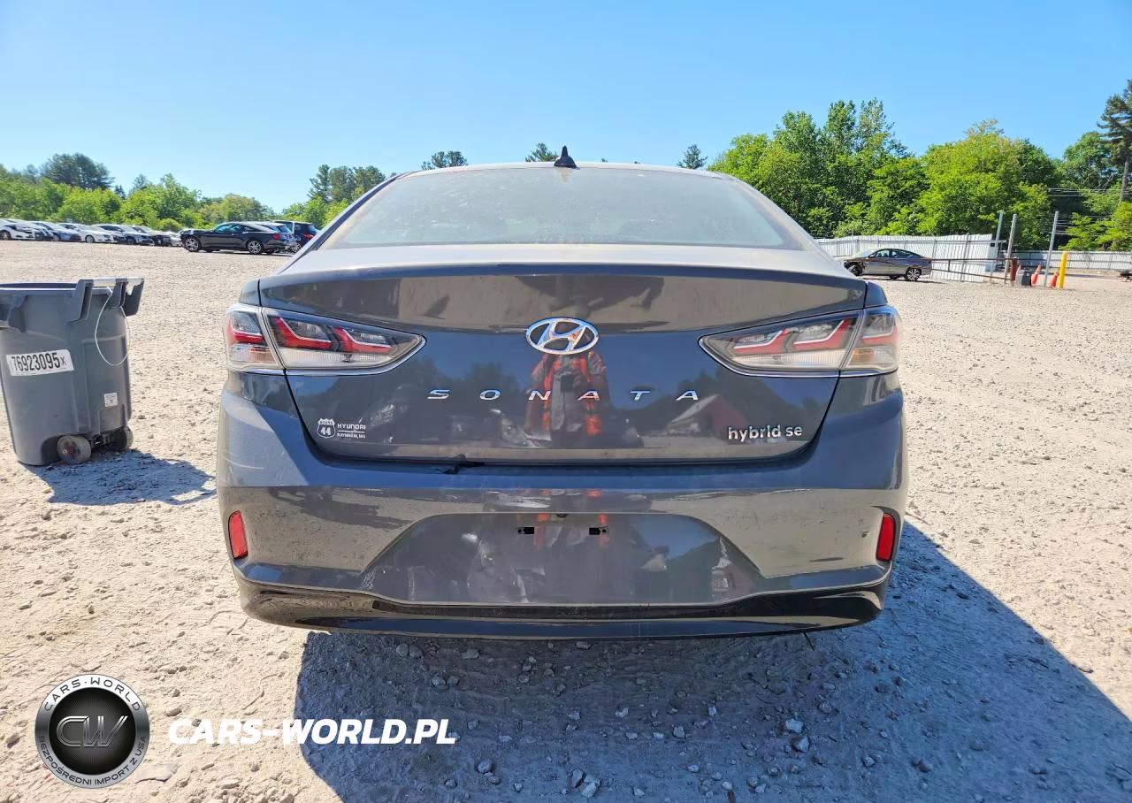 2019 Hyundai Sonata Hybrid Se VIN:KMHE24L34KA093546 - 6