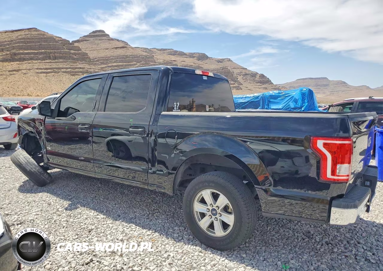 2016 Ford F150 Supercrew VIN:1FTEW1CP6GKF12380 - 2