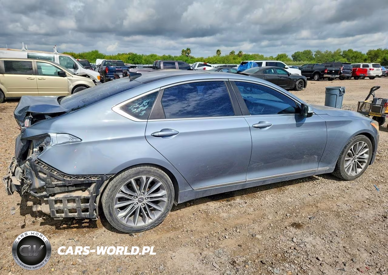 2017 Genesis G80 3.8 VIN:KMHGN4JE7HU206420 - 3