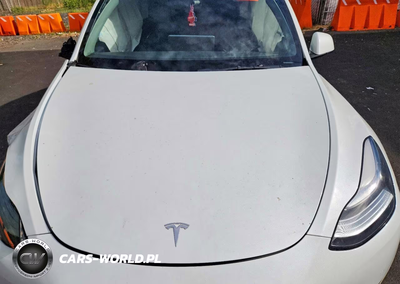 2022 Tesla Model Y VIN:7SAYGDEE7NF407240 - 11