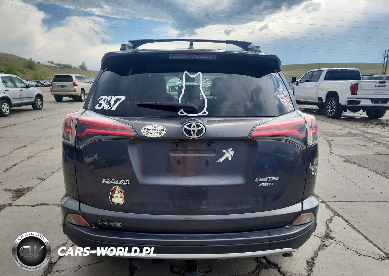 2016 Toyota Rav4 Limited VIN:JTMDFREV8GD190335 - 6