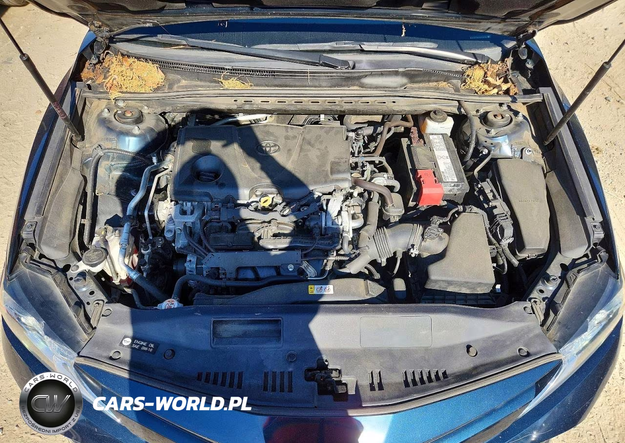2019 Toyota Camry Le VIN:4T1B11HK2KU238182 - 11