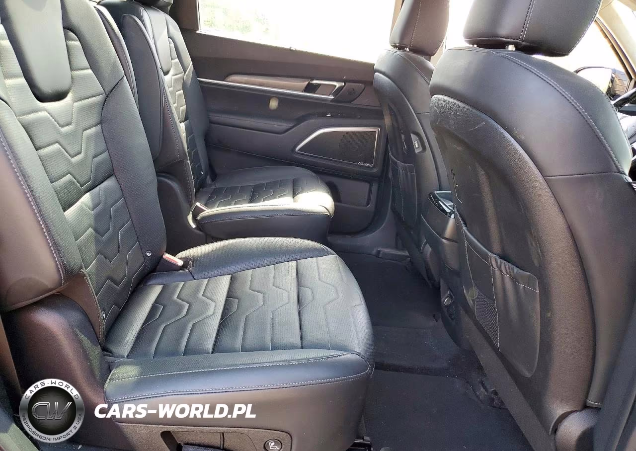 2021 Kia Telluride Sx VIN:5XYP5DHC5MG141118 - 11