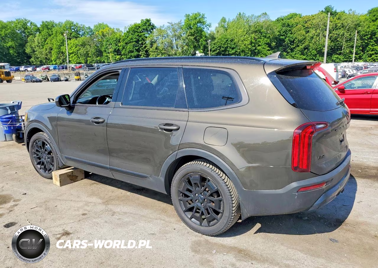 2021 Kia Telluride Sx VIN:5XYP5DHC5MG141118 - 2