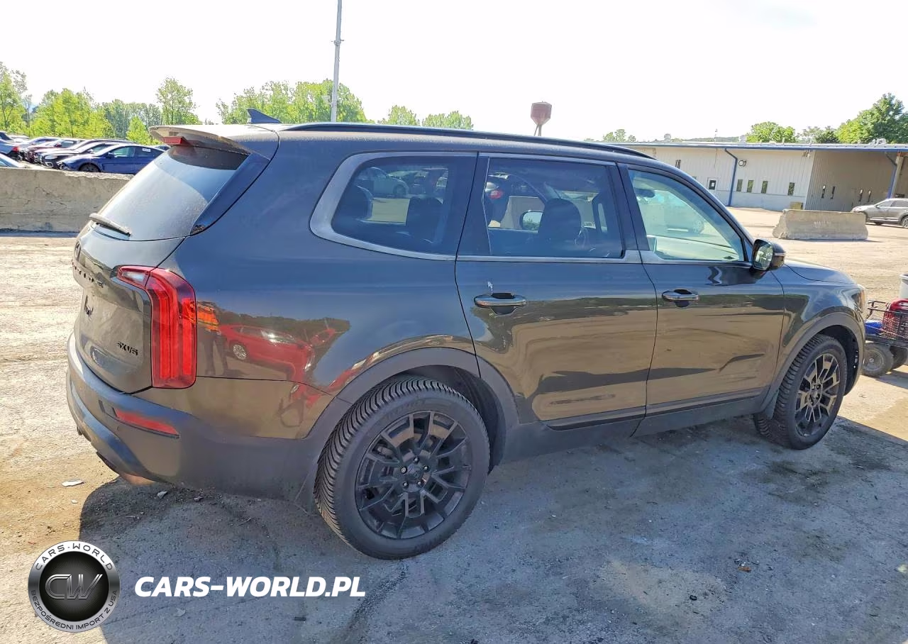 2021 Kia Telluride Sx VIN:5XYP5DHC5MG141118 - 3