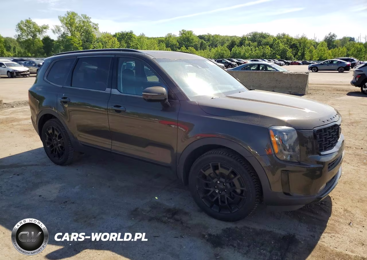 2021 Kia Telluride Sx VIN:5XYP5DHC5MG141118 - 4