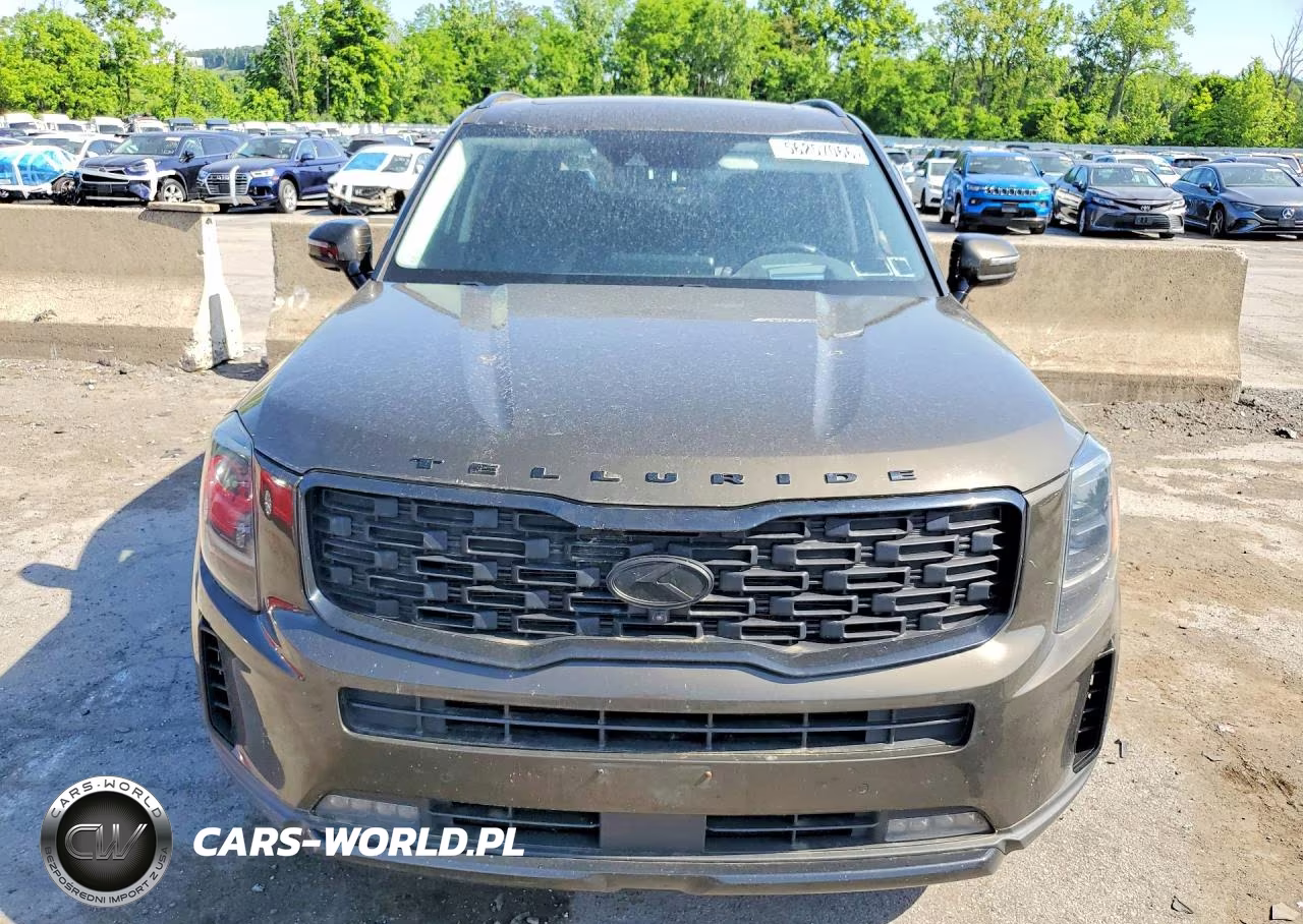 2021 Kia Telluride Sx VIN:5XYP5DHC5MG141118 - 5
