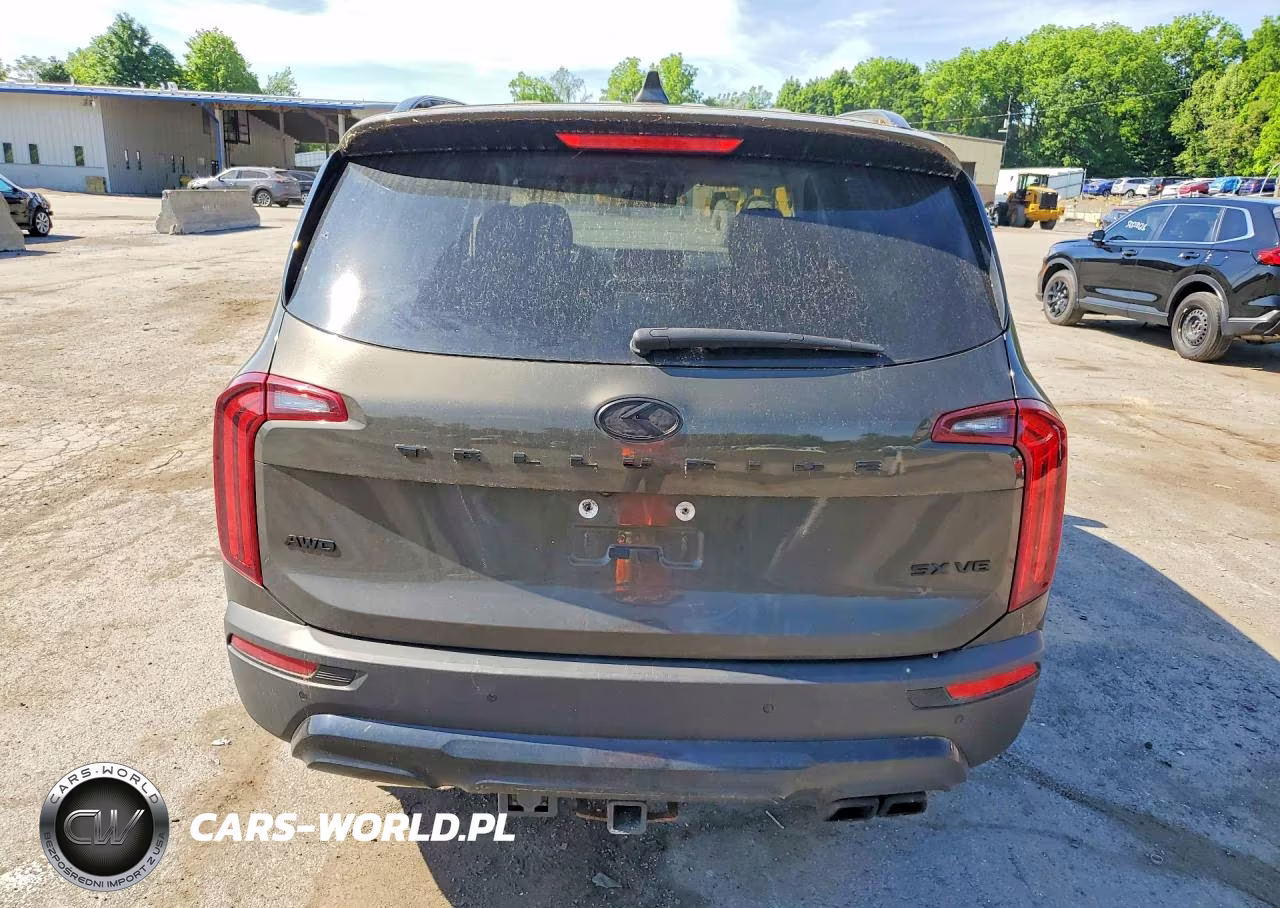 2021 Kia Telluride Sx VIN:5XYP5DHC5MG141118 - 6