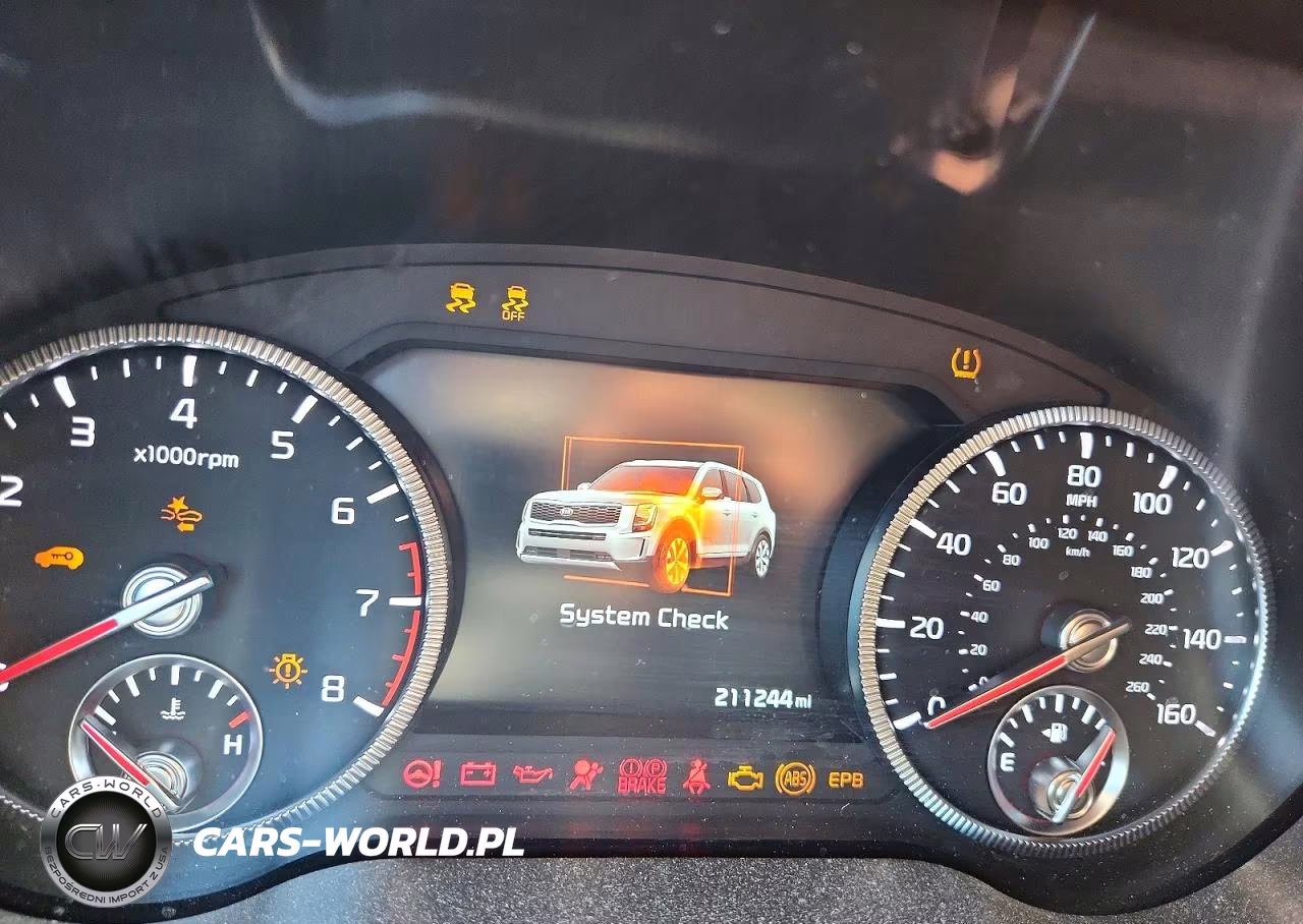 2021 Kia Telluride Sx VIN:5XYP5DHC5MG141118 - 9