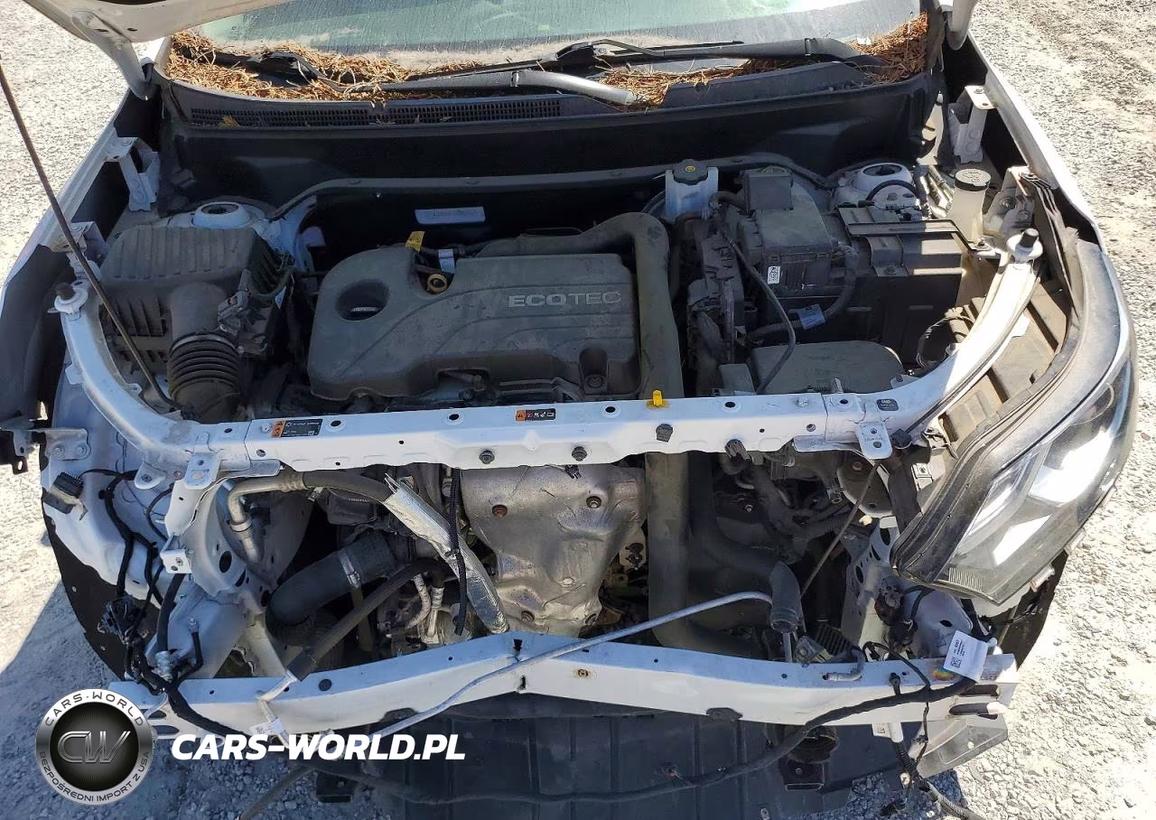 2019 Chevrolet Equinox Lt VIN:2GNAXUEV8K6269702 - 12