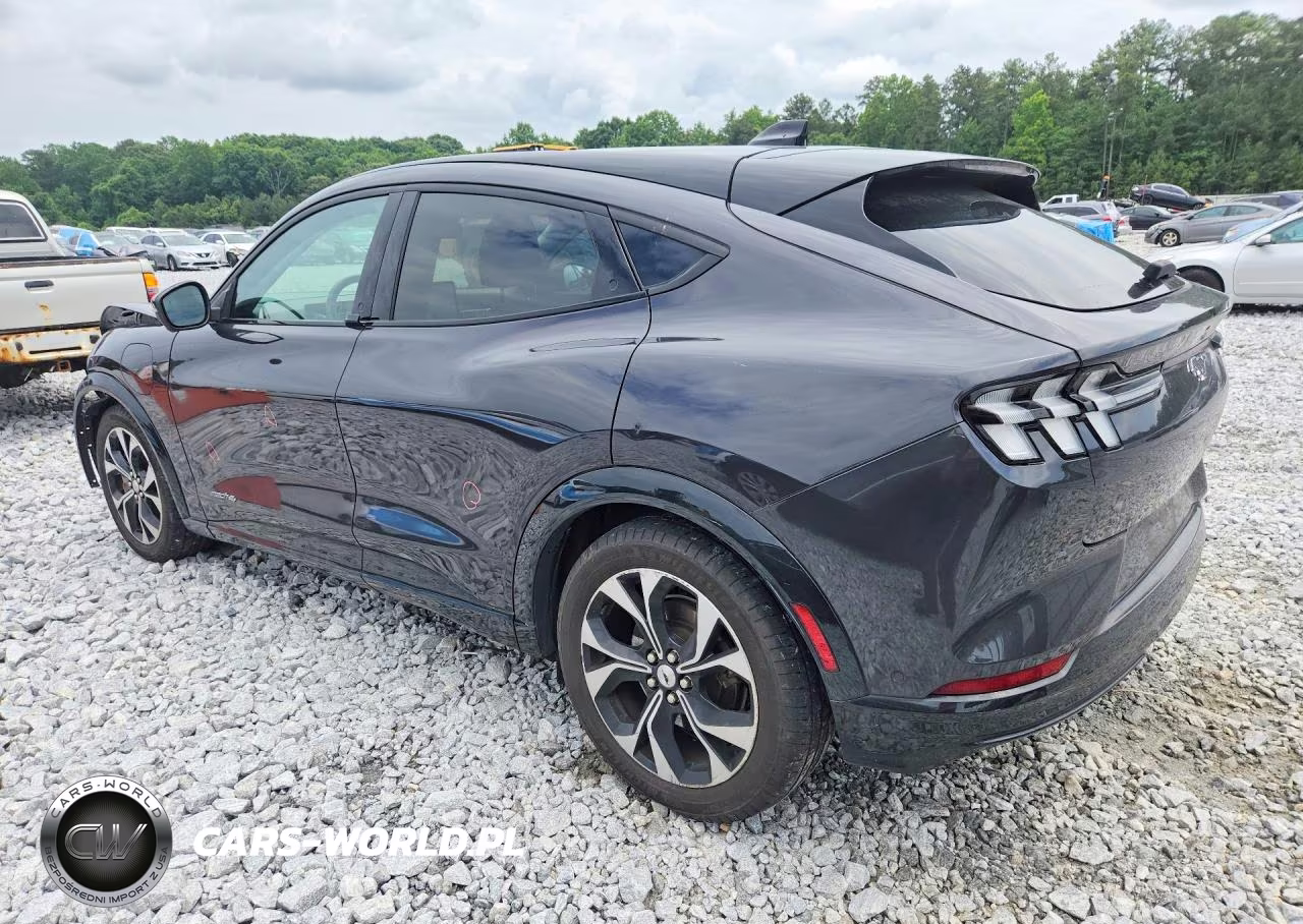 2022 Ford Mustang Mach-E Premium VIN:3FMTK3SS0NMA38495 - 2