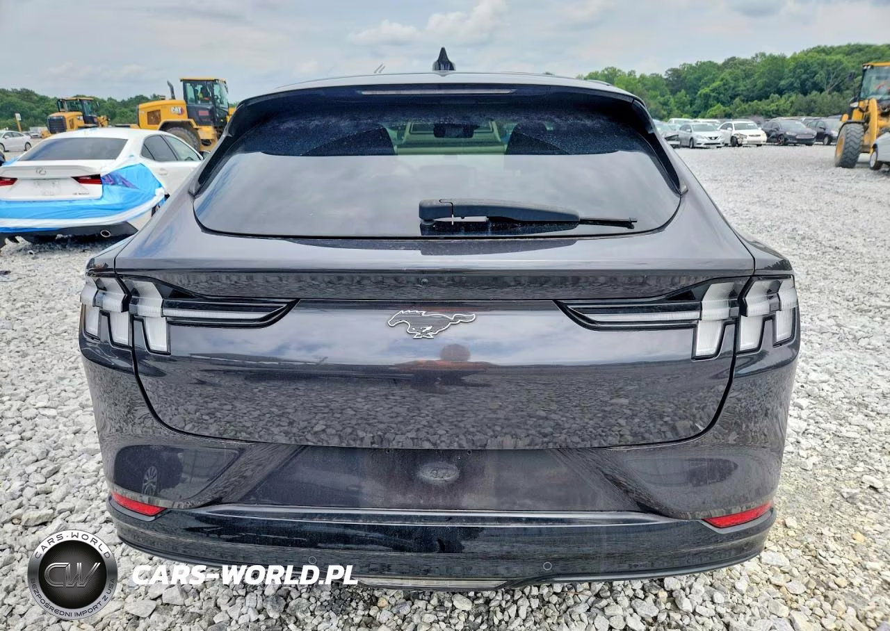 2022 Ford Mustang Mach-E Premium VIN:3FMTK3SS0NMA38495 - 6
