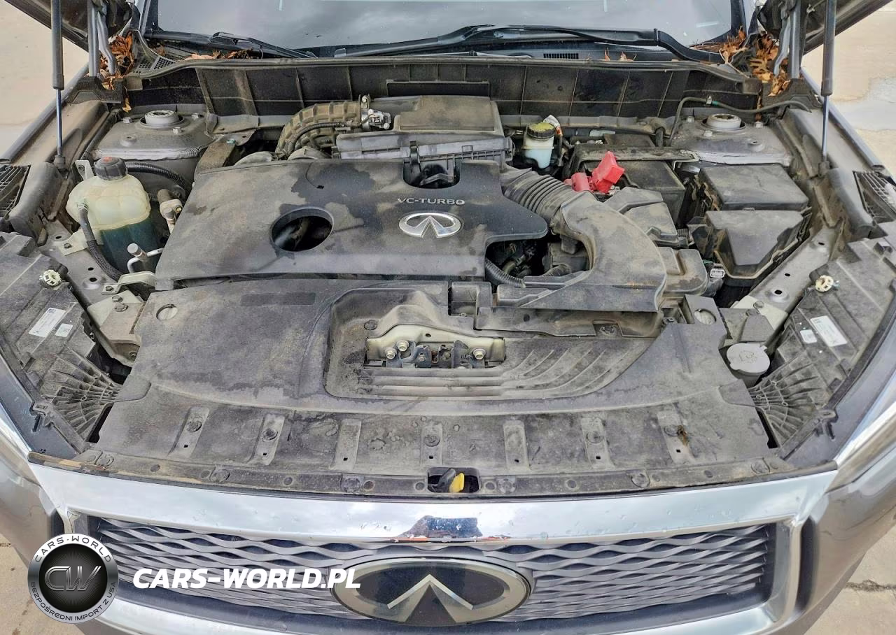 2019 Infiniti Qx50 Essential VIN:3PCAJ5M12KF101806 - 12