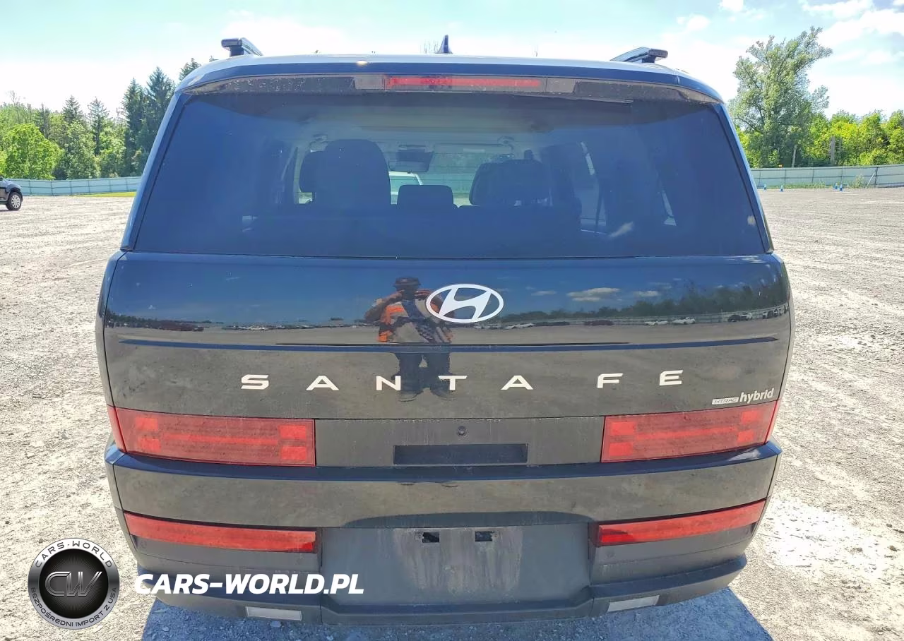 2024 Hyundai Santa Fe Sel VIN:5NMP2DG18RH007502 - 6