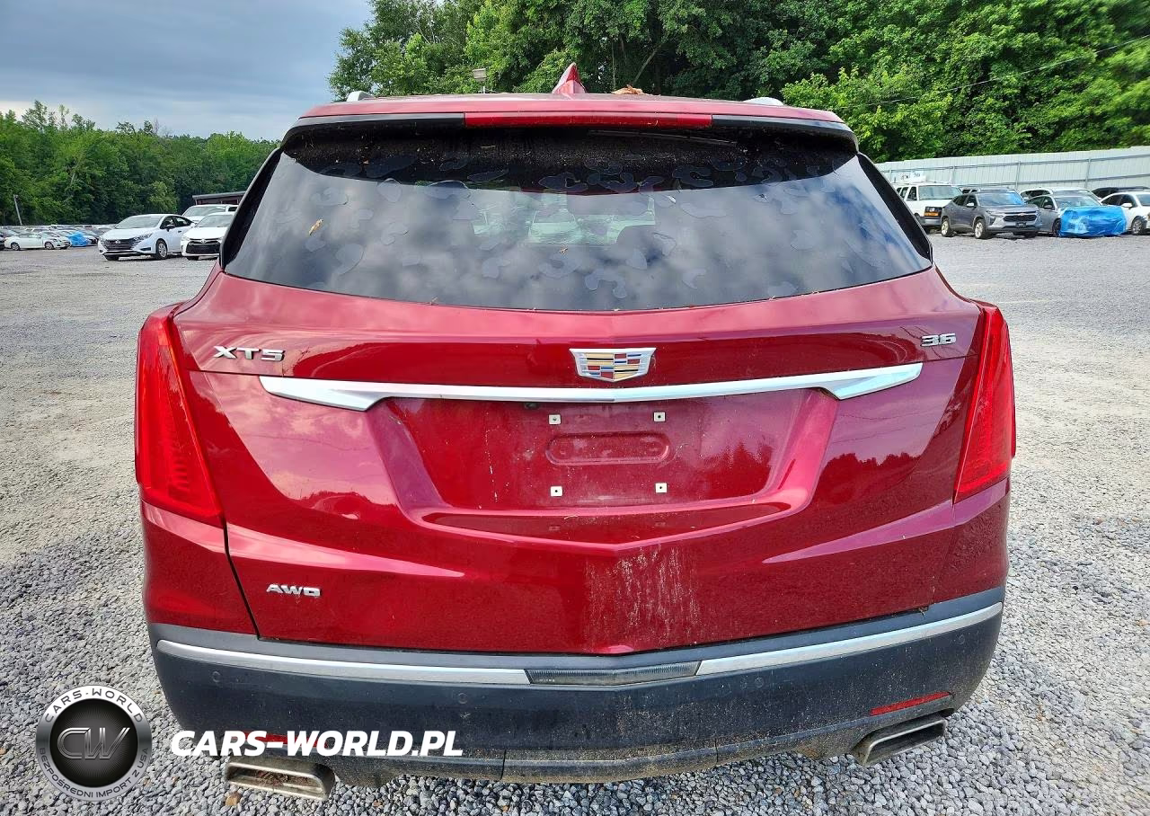 2019 Cadillac Xt5 Luxury VIN:1GYKNDRS3KZ226130 - 6