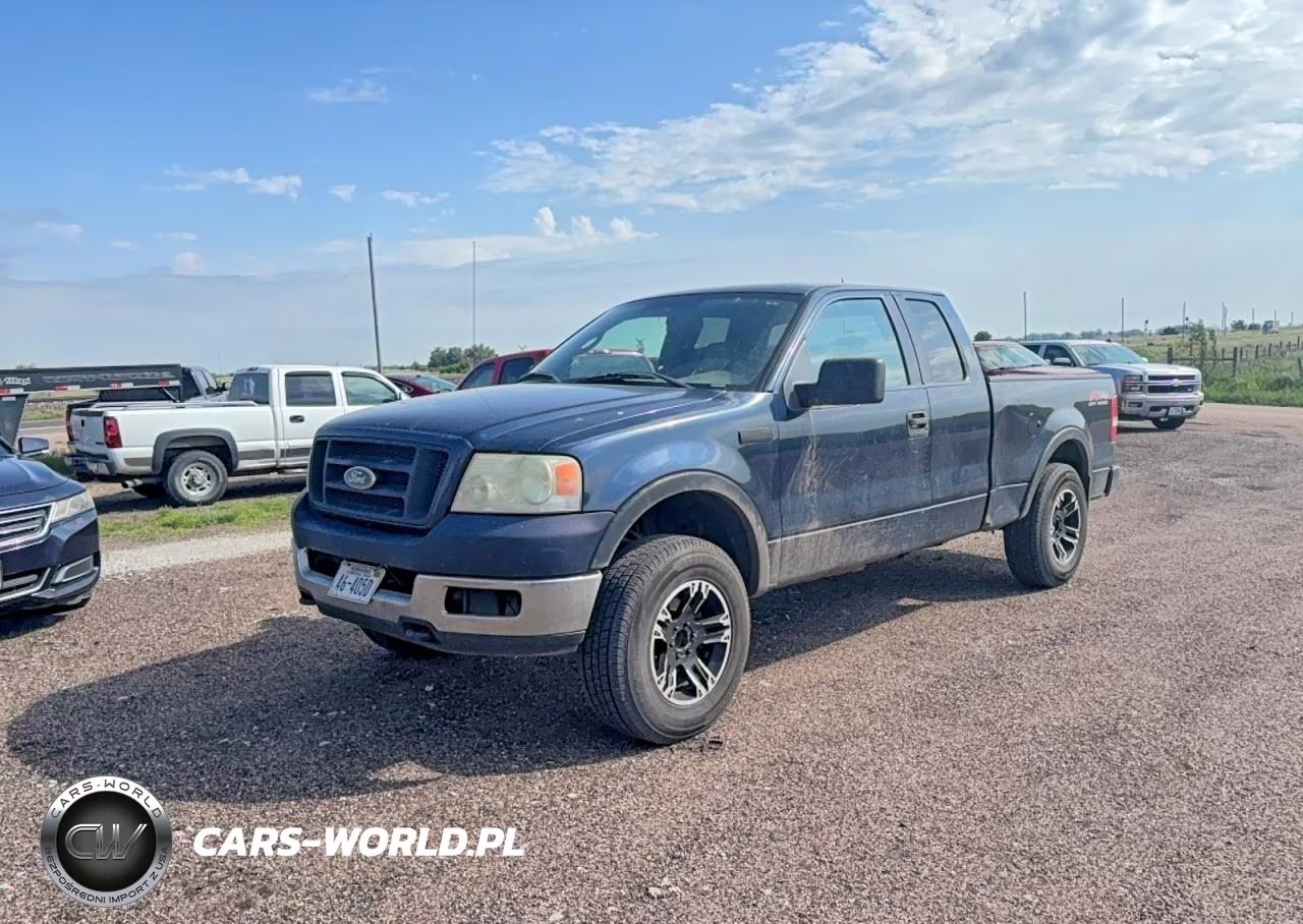 2005 Ford F150 VIN:1FTPX14595FA53807 - 2