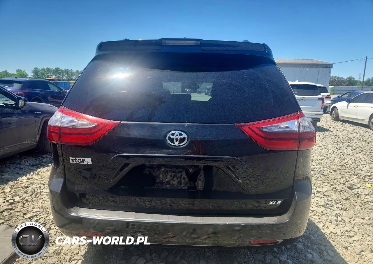 2020 Toyota Sienna Xle 8-Passenger VIN:5TDYZ3DC7LS031665 - 6