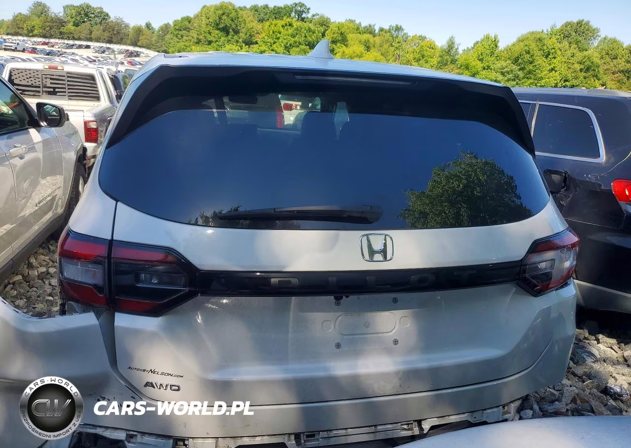 2025 Honda Pilot Exl VIN:5FNYG1H42SB020847 - 6