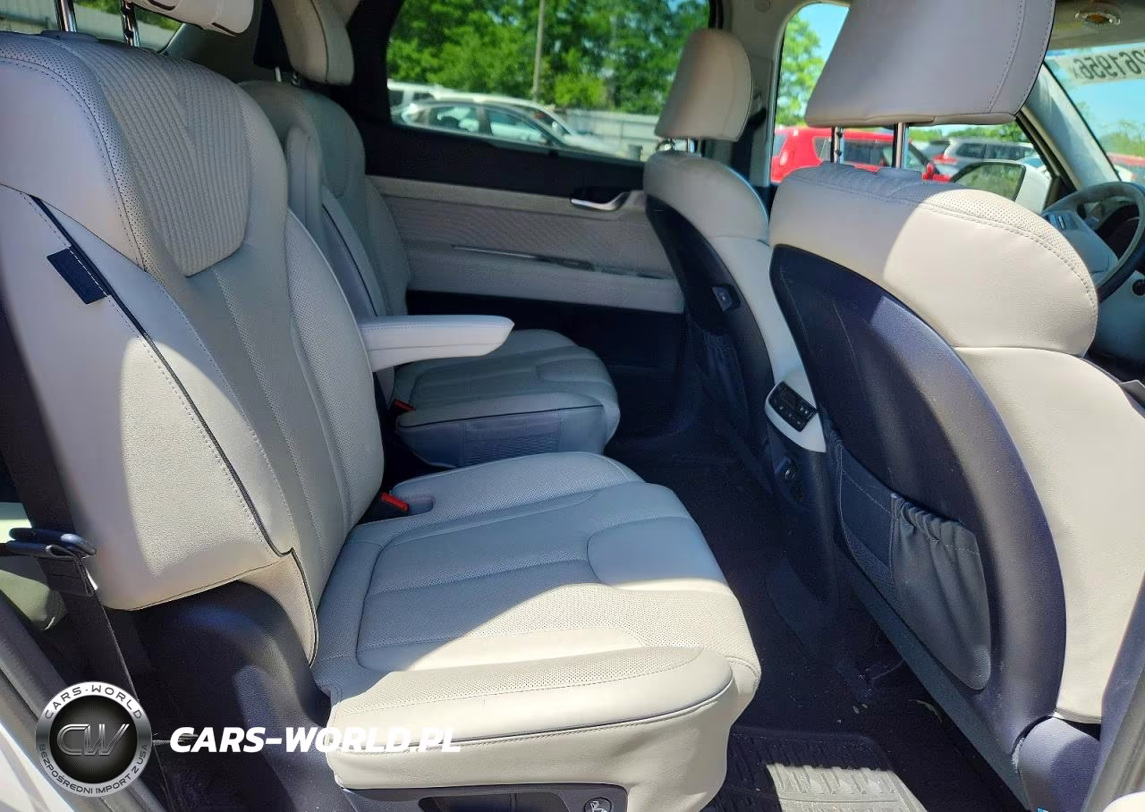 2024 Hyundai Palisade Calligraphy VIN:KM8R7DGE5RU648950 - 11