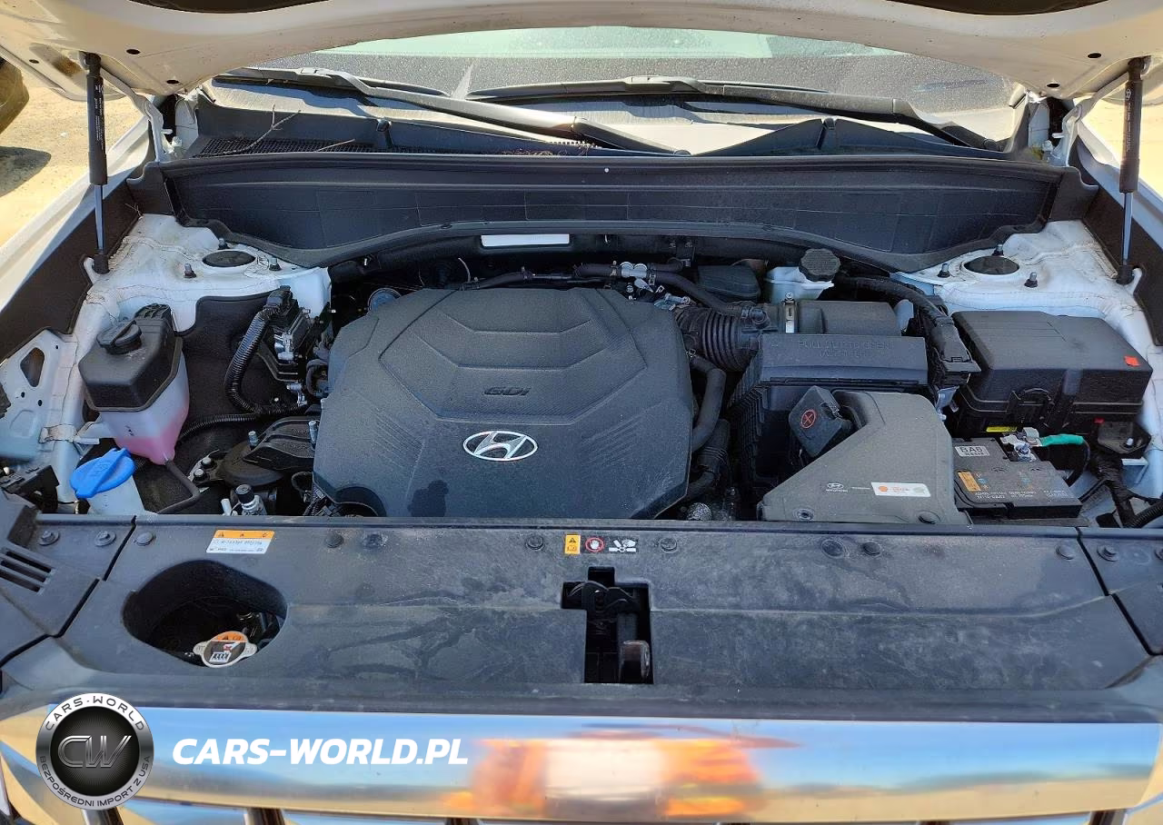 2024 Hyundai Palisade Calligraphy VIN:KM8R7DGE5RU648950 - 12