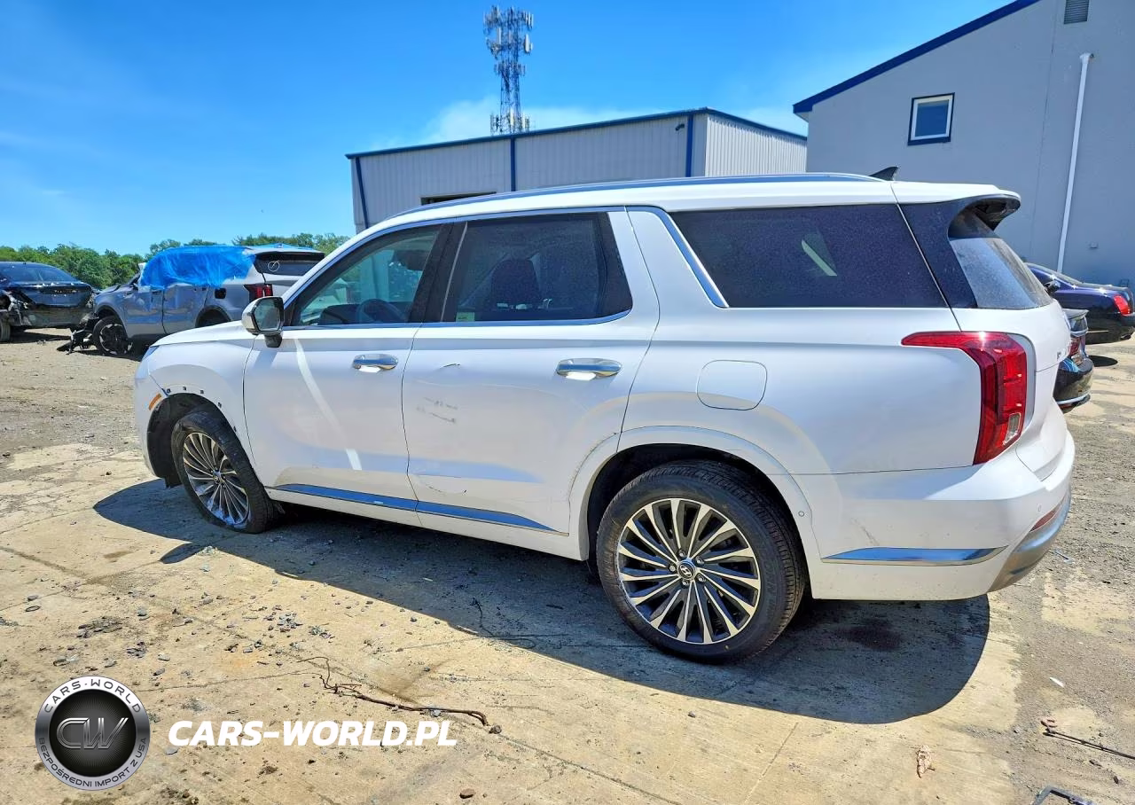 2024 Hyundai Palisade Calligraphy VIN:KM8R7DGE5RU648950 - 2