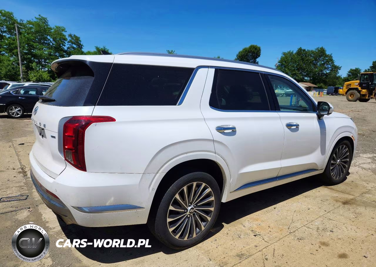 2024 Hyundai Palisade Calligraphy VIN:KM8R7DGE5RU648950 - 3