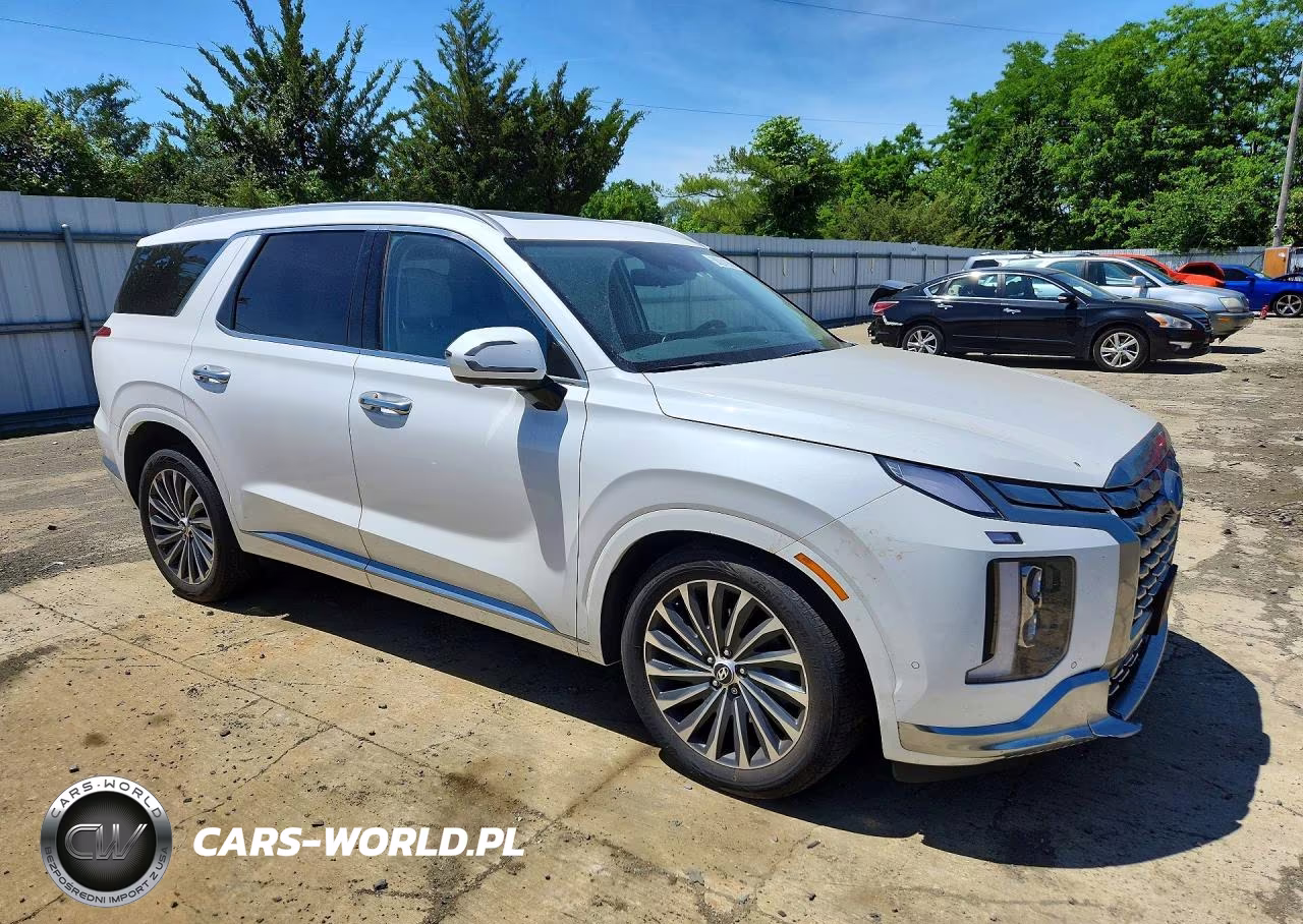 2024 Hyundai Palisade Calligraphy VIN:KM8R7DGE5RU648950 - 4
