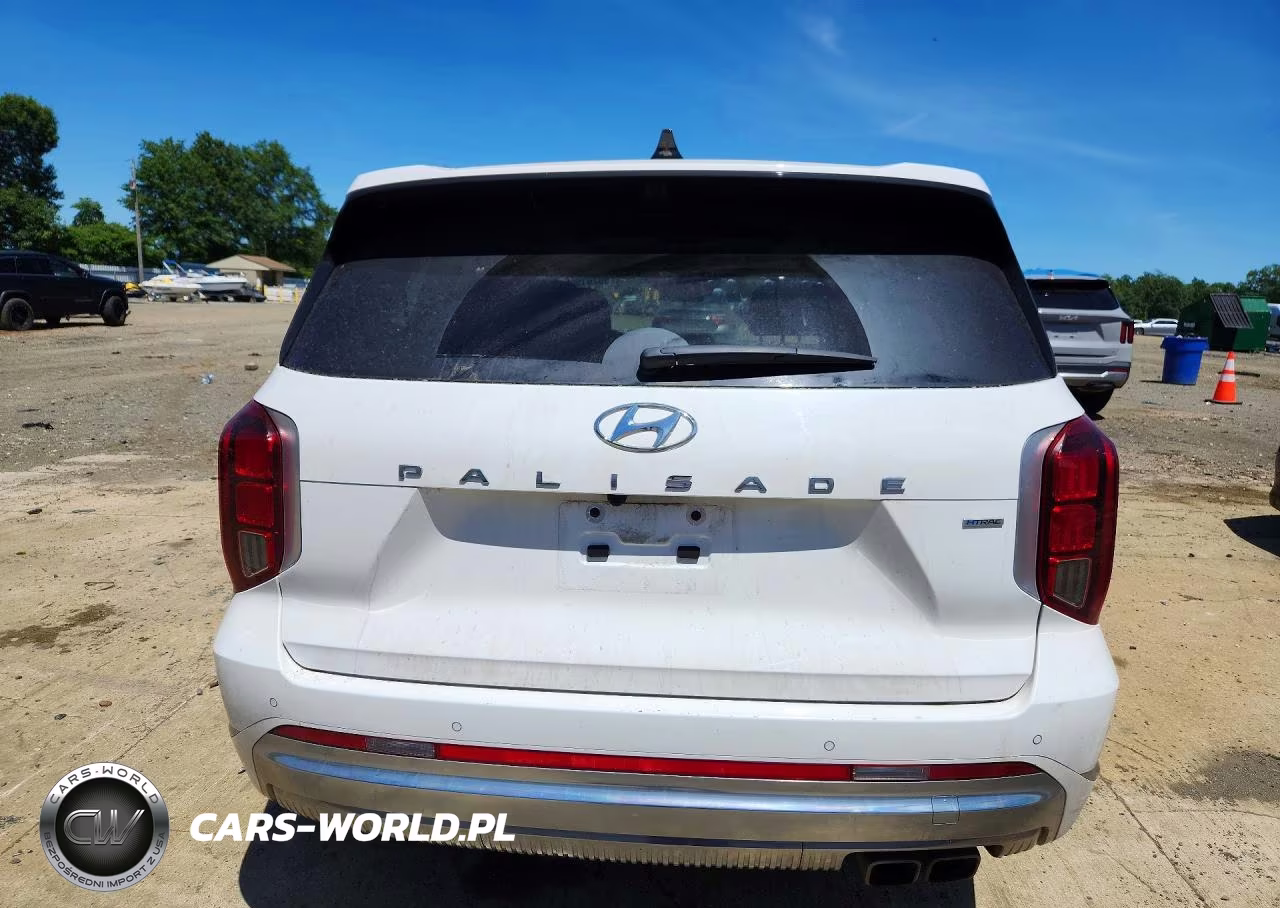 2024 Hyundai Palisade Calligraphy VIN:KM8R7DGE5RU648950 - 6