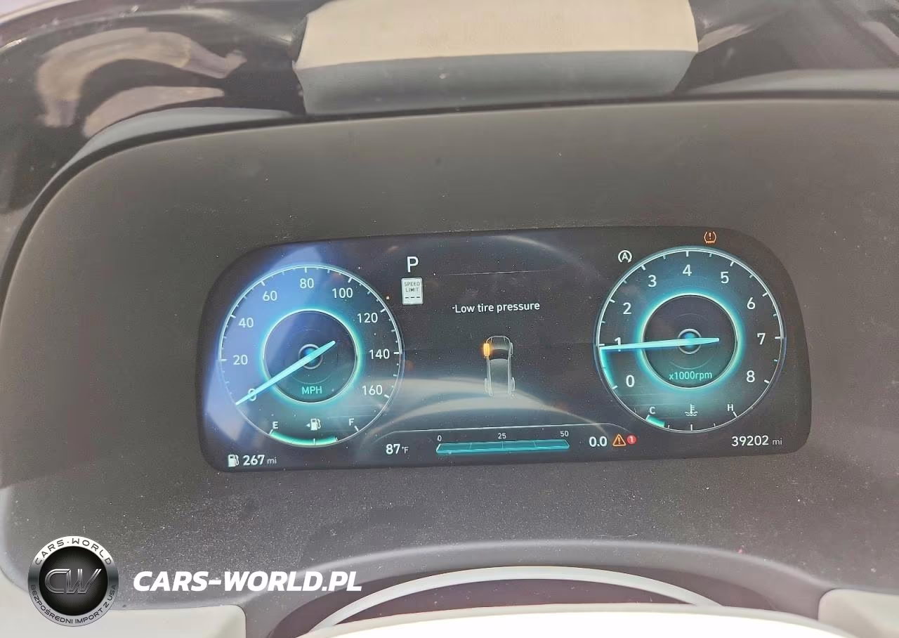 2024 Hyundai Palisade Calligraphy VIN:KM8R7DGE5RU648950 - 9