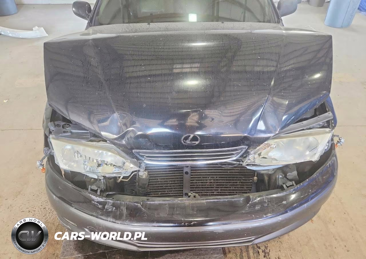 2001 Lexus Es 300 VIN:JT8BF28G310298113 - 11