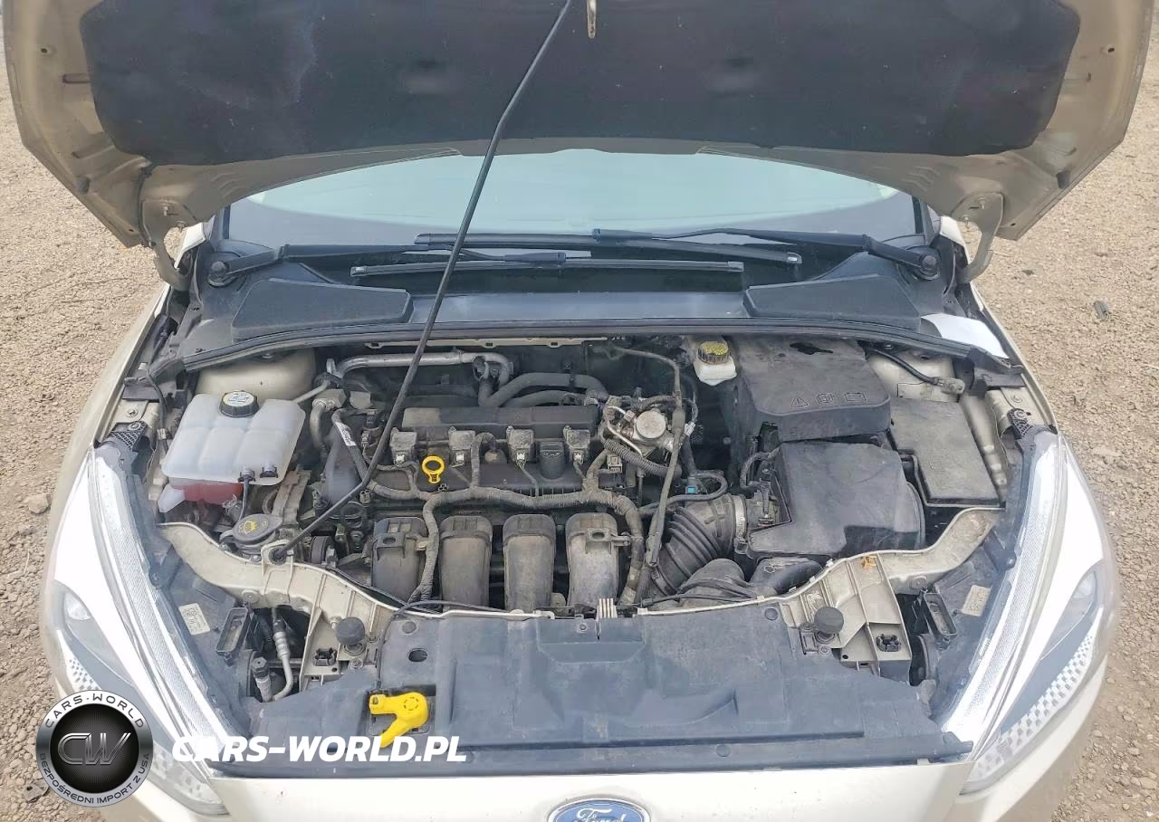 2018 Ford Focus Se VIN:1FADP3K26JL206619 - 11