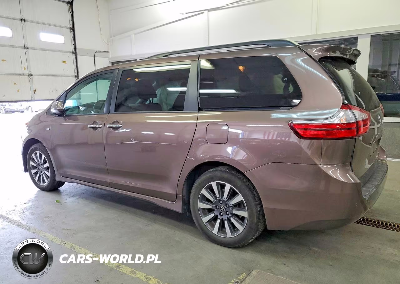 2018 Toyota Sienna Xle 7-Passenger VIN:5TDDZ3DC9JS196287 - 2