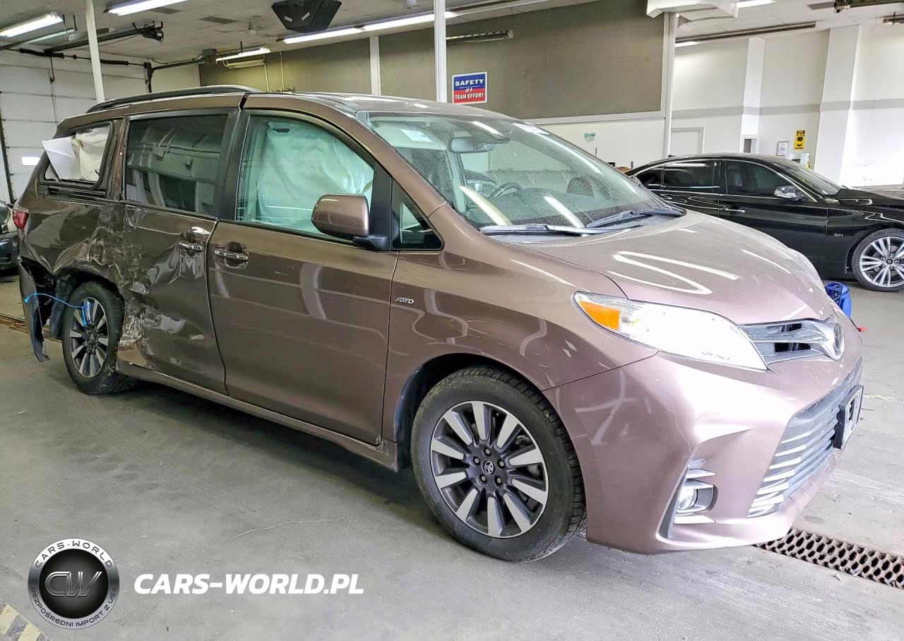 2018 Toyota Sienna Xle 7-Passenger VIN:5TDDZ3DC9JS196287 - 4