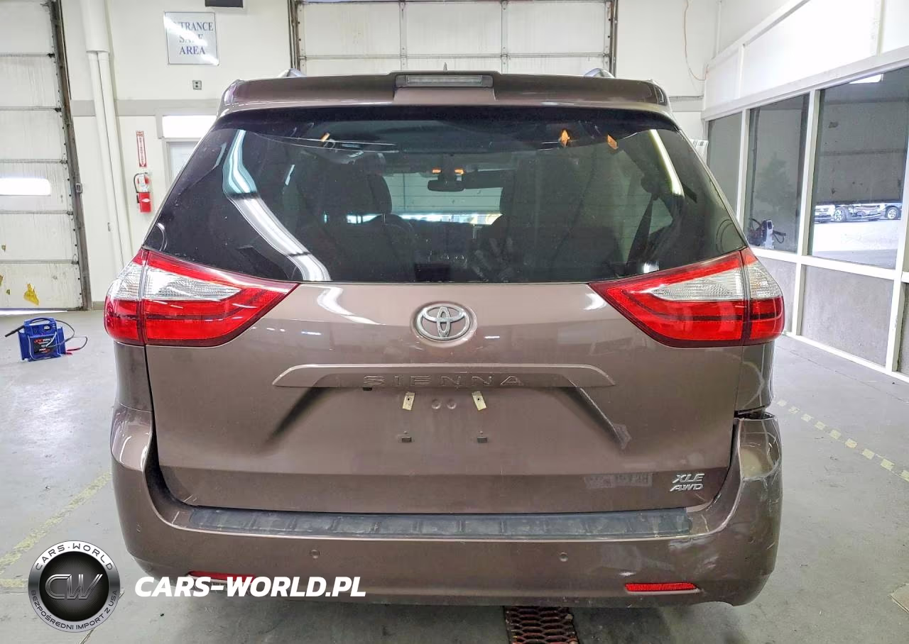 2018 Toyota Sienna Xle 7-Passenger VIN:5TDDZ3DC9JS196287 - 6