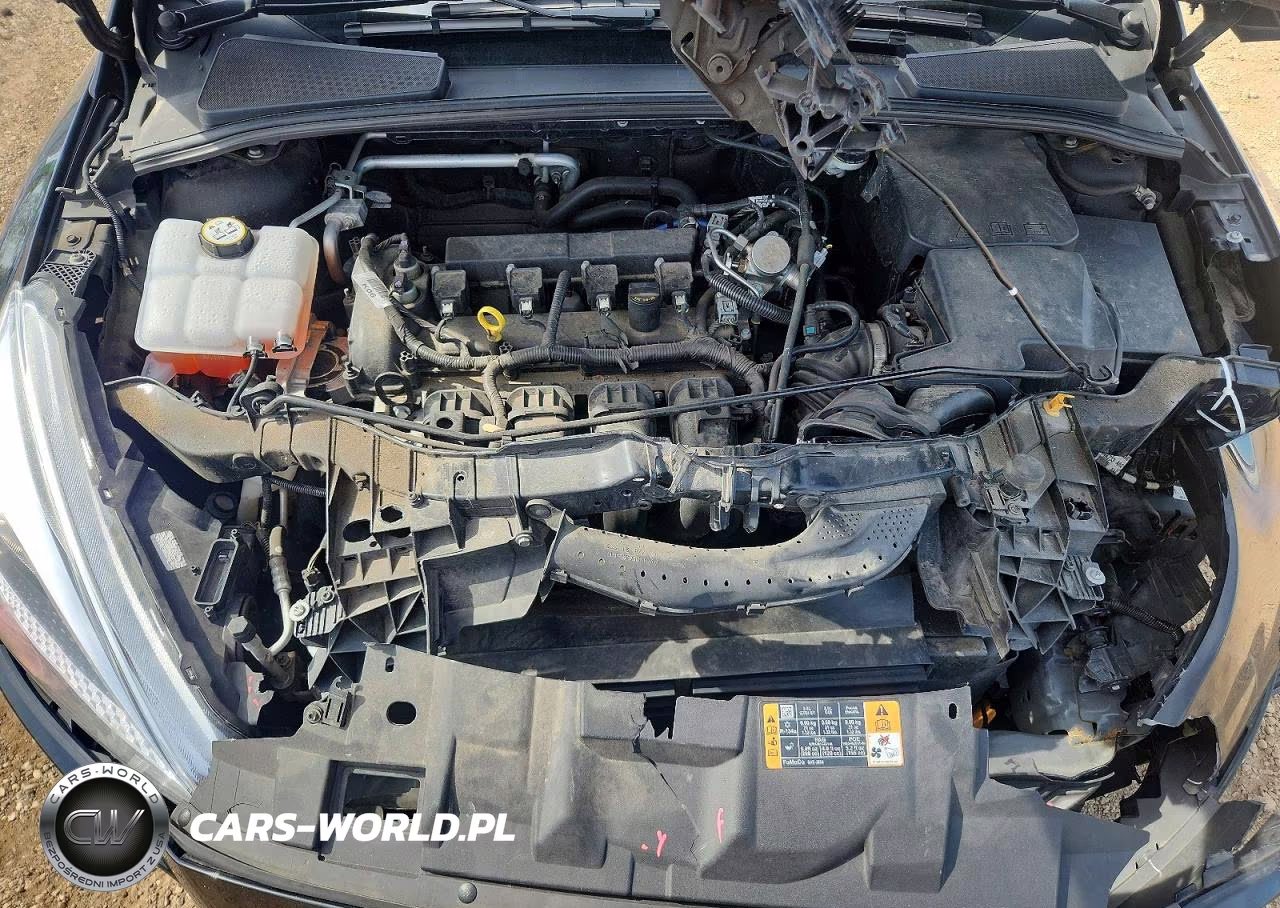 2016 Ford Focus Se VIN:1FADP3F25GL390292 - 11