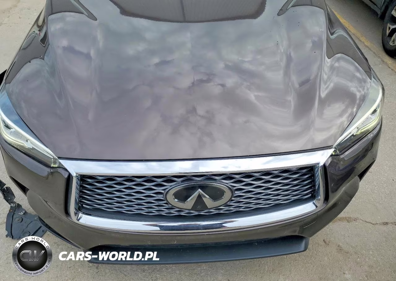 2019 Infiniti Qx50 Essential VIN:3PCAJ5M31KF109915 - 12